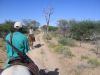 jagdt-namibia-5.jpg