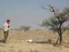 jagdt-namibia-7.jpg