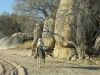 reiten-namibia-104.jpg