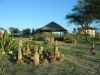 farm-namibia-17.jpg