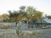 Filename=farm-namibia-26.jpg
Filesize=697KB
Dimensions=1600x1200
Date added=Feb 27, 2008 farm-namibia-26.jpg