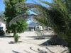 Filename=farm-namibia-29.jpg
Filesize=268KB
Dimensions=1600x1200
Date added=Feb 27, 2008 farm-namibia-29.jpg