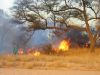 feuer-namibia-10.jpg
