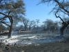 feuer-namibia-12.jpg