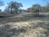 feuer-namibia-14.jpg
