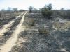 feuer-namibia-16.jpg
