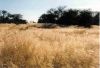 impressionen-namibia-1.jpg