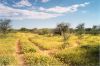 impressionen-namibia-45.jpg
