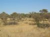 impressionen-namibia-47.jpg