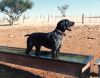 impressionen-namibia-51.jpg