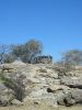 jagdt-namibia-36.jpg