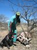 jagdt-namibia-64.jpg