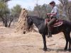 reiten-namibia-1.jpg