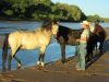 reiten-namibia-101.jpg