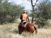 reiten-namibia-108.jpg