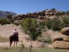 reiten-namibia-114.jpg
