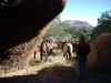 reiten-namibia-115.jpg