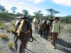 reiten-namibia-119.jpg