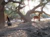 reiten-namibia-122.jpg