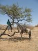 reiten-namibia-129.jpg