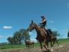 reiten-namibia-131.jpg