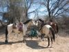 reiten-namibia-138.jpg