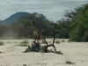 reiten-namibia-14.jpg