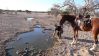 reiten-namibia-144.jpg