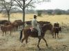 reiten-namibia-18.jpg