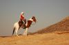 reiten-namibia-31.jpg