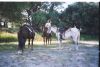 reiten-namibia-34.jpg