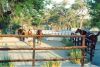 reiten-namibia-4.jpg