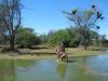reiten-namibia-42.jpg