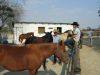 reiten-namibia-44.jpg
