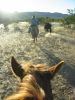 reiten-namibia-45.jpg