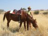 reiten-namibia-48.jpg