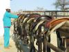 reiten-namibia-53.jpg