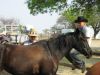 reiten-namibia-55.jpg