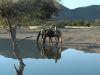 reiten-namibia-61.jpg