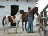 reiten-namibia-64.jpg