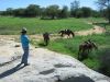 reiten-namibia-67.jpg