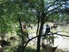 reiten-namibia-70.jpg