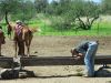 reiten-namibia-74.jpg