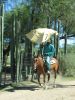 reiten-namibia-75.jpg