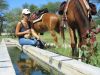reiten-namibia-76.jpg