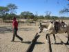 reiten-namibia-81.jpg