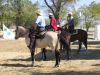 reiten-namibia-86.jpg