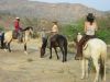 reiten-namibia-88.jpg