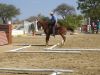 reiten-namibia-89.jpg