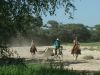 reiten-namibia-9.jpg